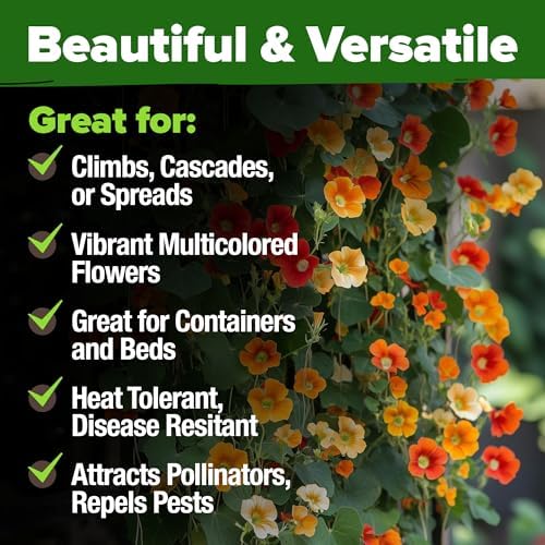 HOME GROWN Nasturtium 250+ Seeds, Dwarf Tall Trailing Mix, Tropaeolum majus