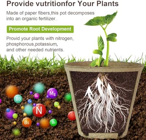 26 Pcs Peat Pots, Biodegradable Pots for Seedlings with Drain Holes, Garden Plant Nursery Pots for Plants, Vegetables,Fruits and Herb (26)