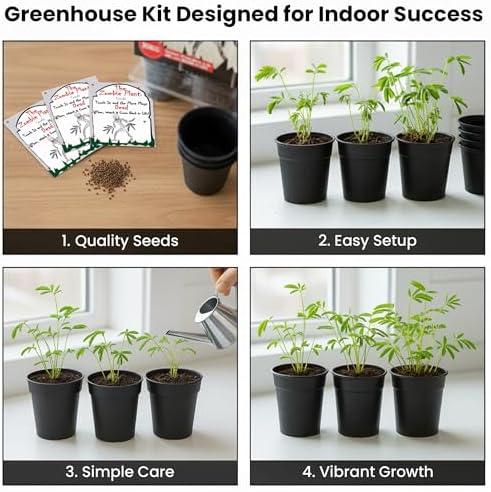 Zombie Plant Greenhouse Grow Kit - Touch It and Watch It Play Dead - Unique Grow Kit to Cultivate a Fun Indoor Plant that Revives in Minutes - Cool Plants and Great for Housewarming Gifts