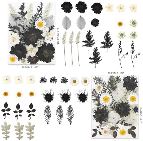 LUXEEASE 90P Halloween Black & White Dried Pressed Flowers