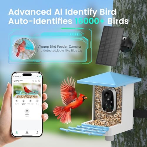 Solar Smart Bird Feeder with Camera, 2.5K HDR Live Video, AI Bird ID