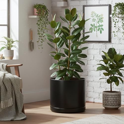D'vine Dev 16 Inch Ceramic Planter Pot, Black, 94-O-H-2