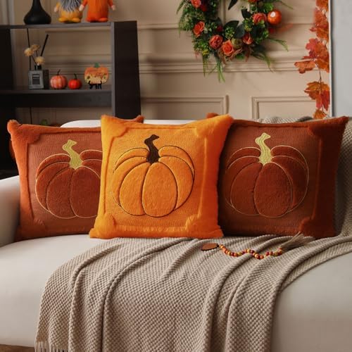 Allorry Fall Pillow Covers 18x18 2 Pack Orange Pumpkin Home Decor PT010B18