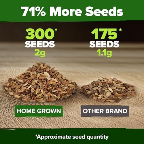 HOME GROWN Zinnia Seeds, Pumila Mix, 300 Seeds, Zinnia elegans