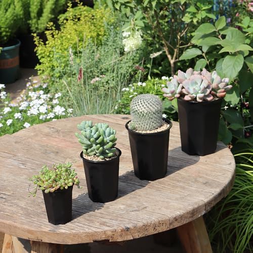 10 Pack 5.30 Inch Black Plastic Deep Nursery and Seedling Pots, Round Planter Container for Transplanting, Cutting, Succulent
