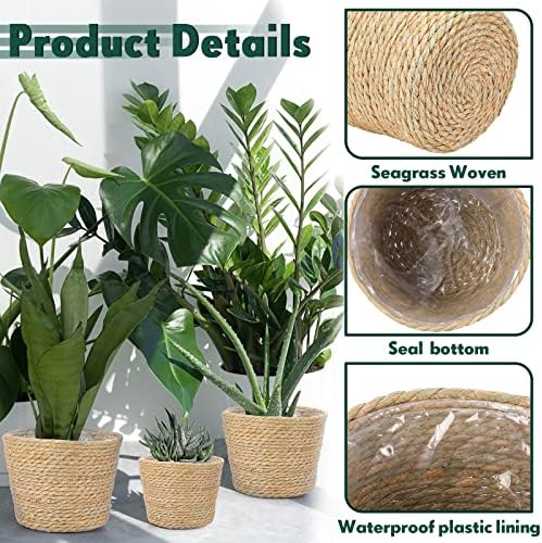 Mumufy 6 Pcs Seagrass Planter Basket Hand Woven Flower Pot Cover, Classic