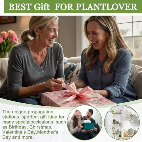3 Tier Wall Hanging Propagation Stations with Crystal Suncatchers
