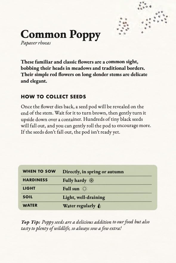 The Seed Collector's Kit: Collect - Sow - Grow - Harvest: Plant your garden from seed with 50 informative cards, five