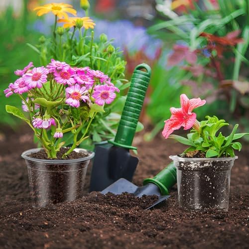4/5/6Inch Nursery Pot,30 Pack Clear Pots with Drainage