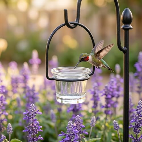 Glass Bird Feeder Cups Replacement: Transparent Hanging Bird Food Holder for Oriole, Hummingbird & Finch - 2. 48" Diameter Feeder Part for Window, Patio & Garden Decor (5)