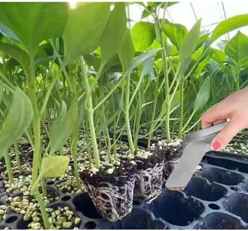 2 Pcs Seedling Transplanting Tongs, 6.7/8.7 inch Stainless Steel Gardening Remove Seedling Starters, Seedling Remove Pliers for Reducing Root Damage
