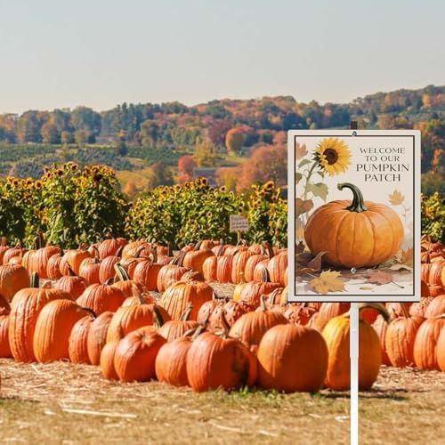 Welcome To Our Pumpkin Patch Yard Sign With Stake Fall Decor Reflective Aluminum Lawn Sign Stand For Home Harvest Thanksgiving Pumpkin Spice Season Autumn Outdoor Decorations (8x12) IN