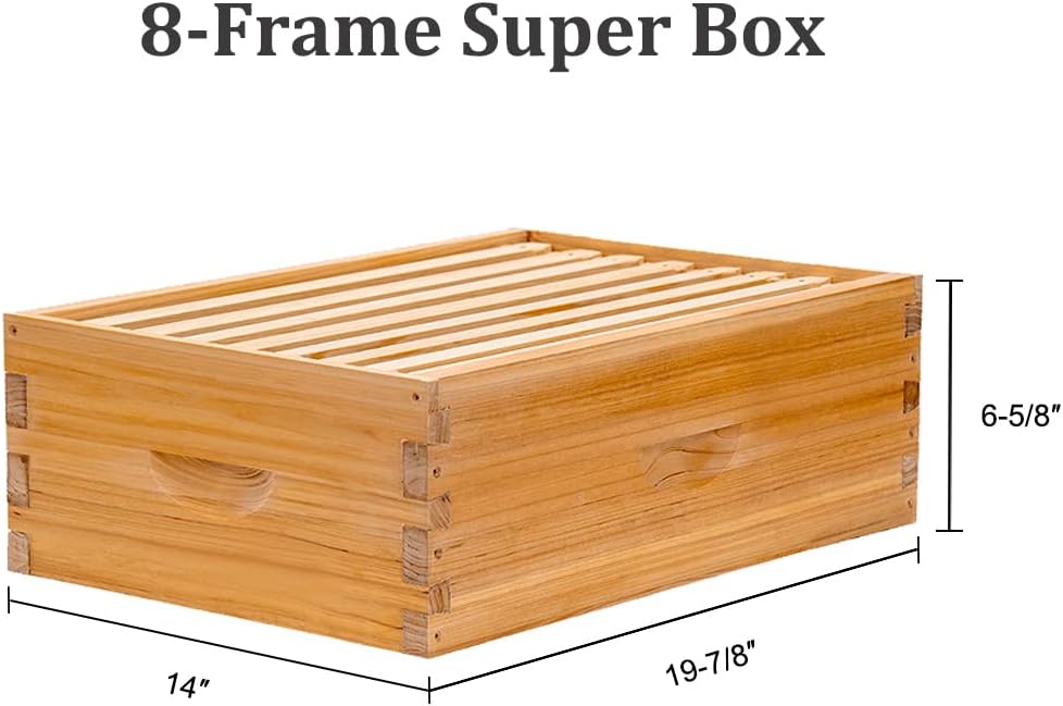 BeeCastle 8 Frame Langstroth Bee Hive Coated with Beeswax Includes Beehive Frames and Waxed Foundations (1 Deep Box & 1