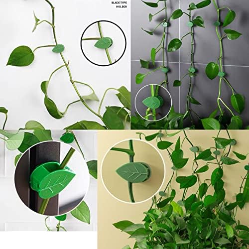 QRWT 60 Pieces Plant Climbing Wall Fixture Clips Self-Adhesive Plant Fixer Invisible Leaf Shaped Wall Vines Fixing Clips Hook Plant Vine Traction for Home Decoration Cable Wire Fixing