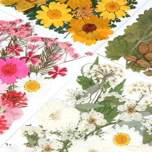 110+PCS Pressed Flowers for Resin Molds, Colorful-A