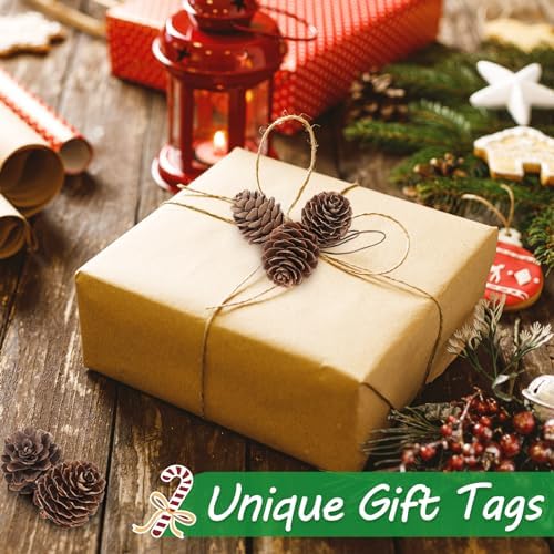 Apipi 1.2" Natural Small Pine Cones Fall Decor Christmas Ornaments, 40 Pcs