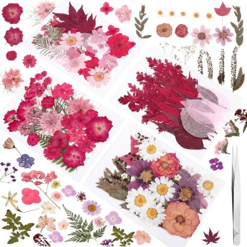 100 Pcs Real Natural Dried Pressed Flowers Pink