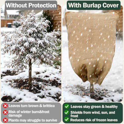 2-Pack Burlap Fabric Plant Bags - 32 X 40 Inch Winter Plant Cover Freeze Protection, Reusable Burlap Sacks Plant Frost Cloth for Outdoor Plants, Cold Weather Tree Wrap for Trees, Bushes & Garden
