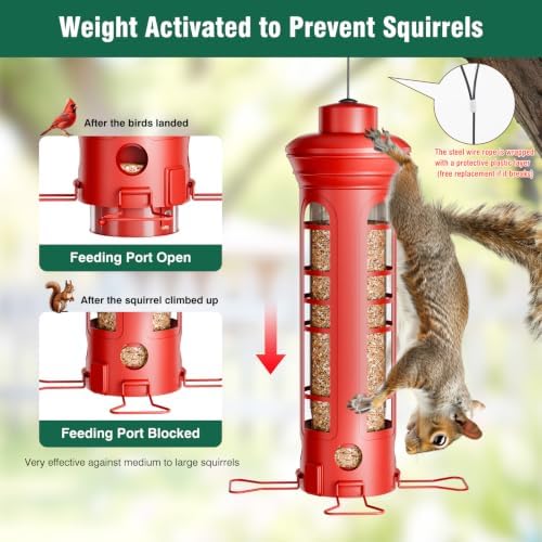 Squirrel Proof Metal Bird Feeder, Removable Base for Cleaning, Weight Activated Perches, 3 Lbs Capacity, Weatherproof & Rust Proof, Outdoor Hanging Bird Feeder for Cardinals, Finches