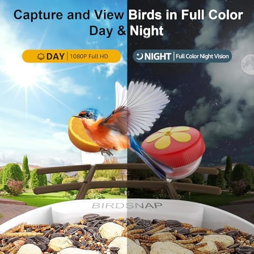 birdsnap® PAV Bird Feeder with Camera Solar Powered 2K Live Video 64GB Card