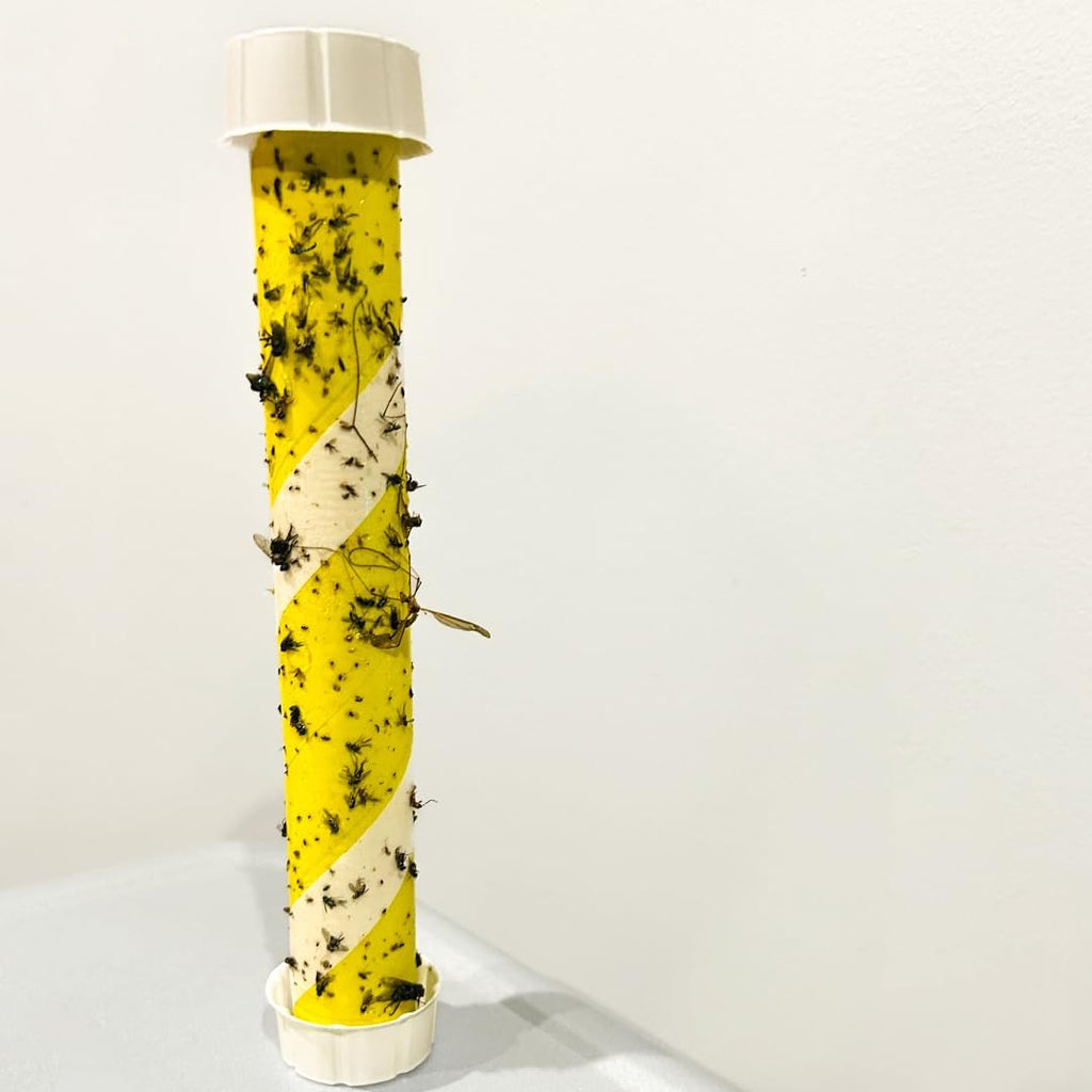 Trappify Glow-in-The-Dark Fly Trap for Indoor & Outdoor Fly Sticks (8 Pack) | Yellow Adhesive Fly Sticks
