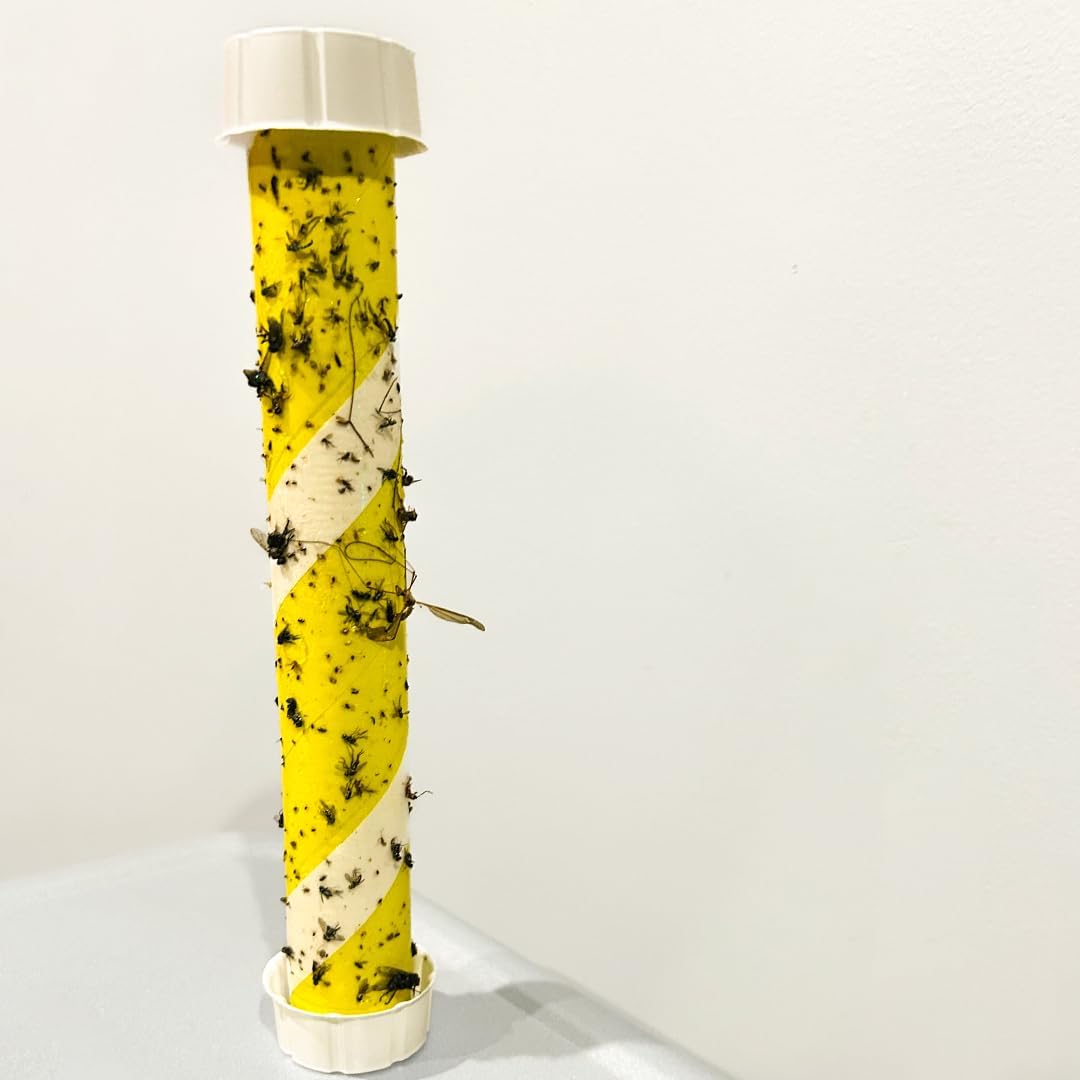 Trappify Glow-in-The-Dark Fly Trap for Indoor & Outdoor Fly Sticks (8 Pack) | Yellow Adhesive Fly Sticks