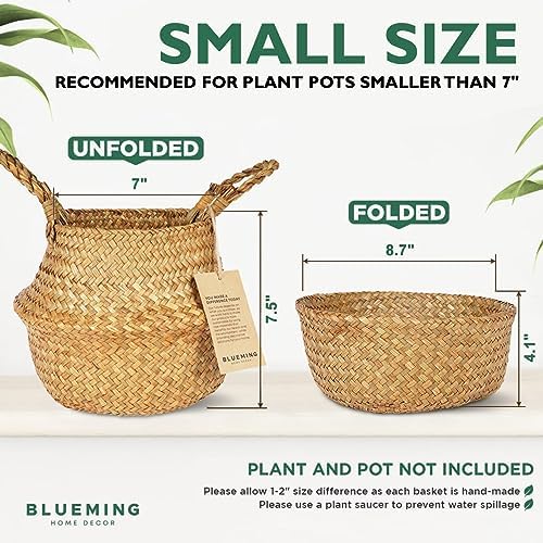 Small Plant Basket, Natural Woven Seagrass Planter
