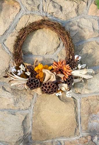 SuperMoss (22604) Orchard Grapevine Wreath - Handcrafted All-Season Front Door Décor, 10”, Natural