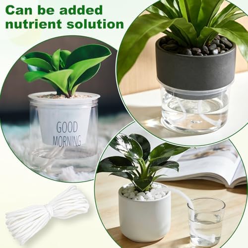 M METERXITY 1-Pack 32.8 Feet Self Watering Wick Cord, 1/5 Inch Cotton Rope Self Wicking Rope for Potted Plants/Flower Pots/Seedlings, Water Wicks for Plants [White]
