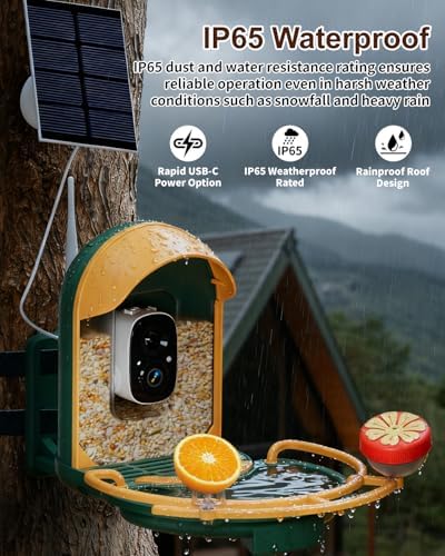 Bird Feeder with Camera, AI Recognition, Bird Bath, Solar Powered