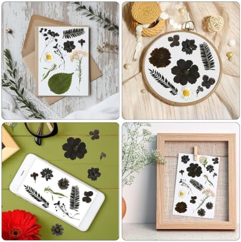 Augshy Halloween Black Pressed Dried Flowers for Resin Molds Crafts