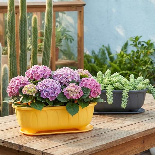 5 Pack Oval Planters for Indoor Plants, Plastic Succulent Planters