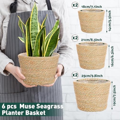 Mumufy 6 Pcs Seagrass Planter Basket Hand Woven Flower Pot Cover, Classic