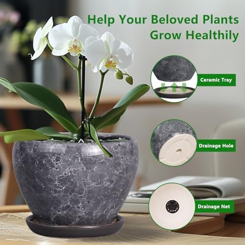 Ceramicfor Ceramic Planter - 6 Inch Plant Pot with Drainage Hole and Saucer, Succulent Pot Glaze Round Flower Pot for Indoor Outdoor Plants, Gray