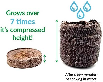 Ferry Morse Jiffy Seed Starting Windowsill Greenhouse with 10 Biodegradable 42mm Peat Pellets (5 Pack)