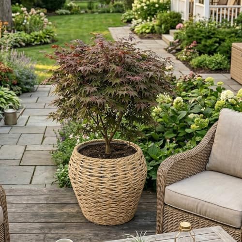 Large Handwoven Wicker Planter Basket with Metal Frame and Plastic Liner