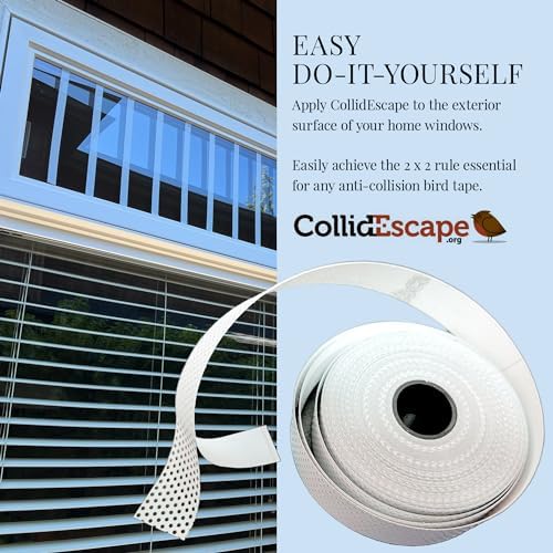 COLLIDESCAPE Spiderweb Clear BirdTape for Windows (3/4" x 40' - Covers 2 to 3 panes) | Window Bird Tape Decals to Prevent Bird Strike Prevention for Glass | Clear