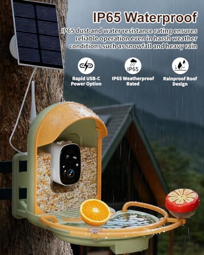 Bird Feeder with Camera, Bird Bath, Solar Powered, 2K HD, Wireless