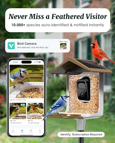 Bird Feeder with Camera Solar Powered 2K Video with 32GB Card Auto Capture