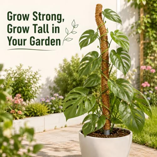 Moss Pole for Monstera, 3-Pack 50in PVC Plant Support Pole