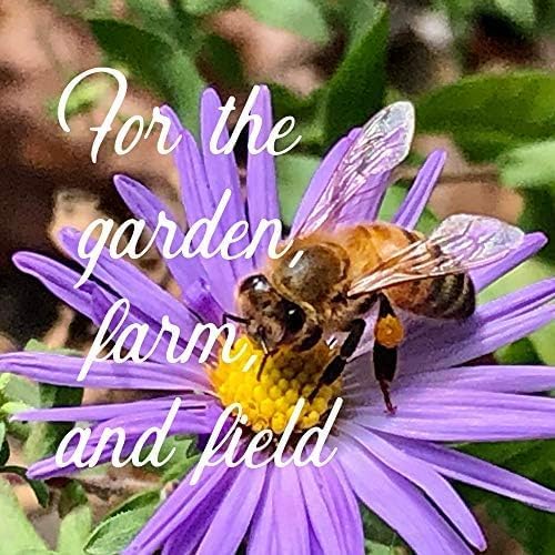 Mountain Valley Seed Co Pacific Northwest Wildflower Seeds - 1 Lb | ~640,000 + Non-GMO Seed - 25 Varieties Including