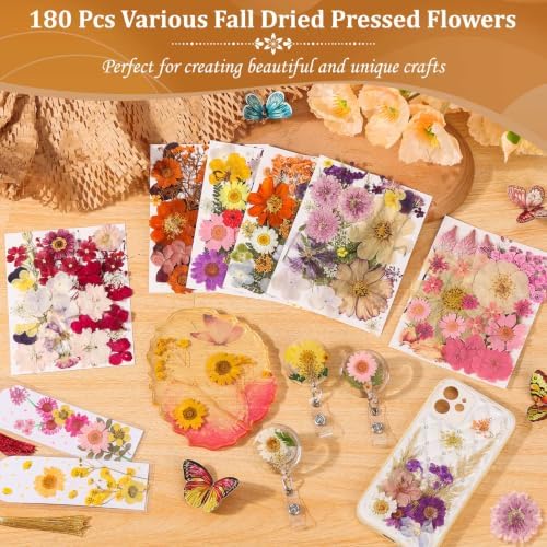 Evatage 180 Pcs Real Dried Pressed Flowers for Resin Crafts