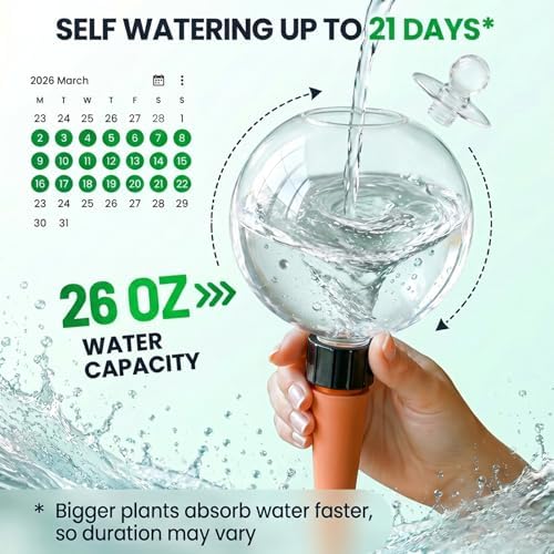 4 Pack 26 oz Extra Large Plant Self Watering Globes to 3 Weeks Watering