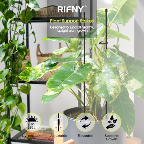 RIFNY Plant Stakes for Indoor Plants, Plant Support Stakes, 14 Inch