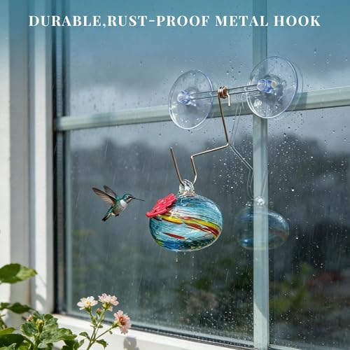 Window Hummingbird Feeder with Suction Cup, Humming Bird Feeder for Outdoor
