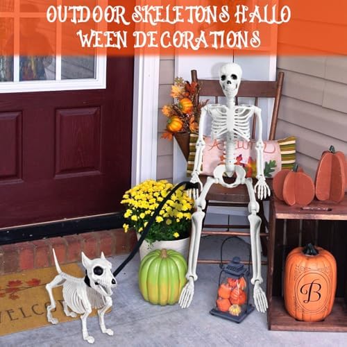 3 FT Human and Dog Skeleton Halloween Decor with Movable Joints