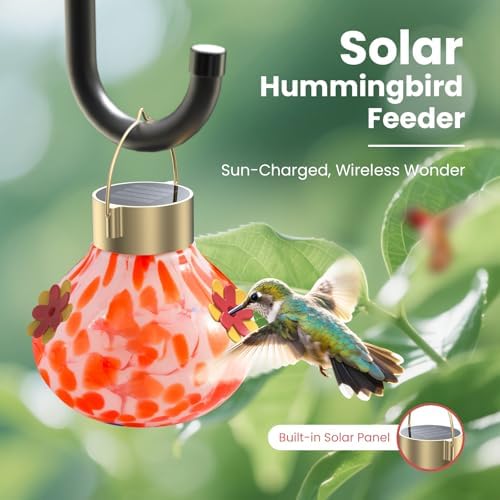 Hummingbird Feeder with Solar Light, Auto-Lighting Lamp for Garden Decor, 3 Feeding Ports Attract More Birds, Outdoor Waterproof Glass Hummingbird Feeder, Red