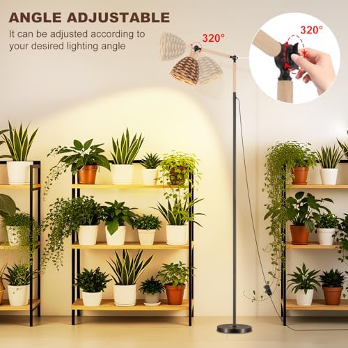 Grow Lights for Indoor Plants Full Spectrum, Plant Lights for Indoor Growing with 30W 4000k, 24H Timer, Standing Tall Grow Lamp for Middle Large Plants(72'', Height Adjustable)