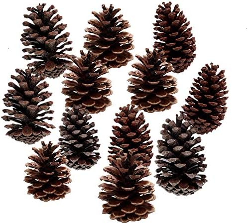 DKKRRNT PineCones Tall Bulk Package All Natural,Real Preserved Pine Cones Big Pinecones and Perfect Natural Pine Cones for Christmas Hanging Ornaments Bowl Vase Fillers (4.3-5.9 in(12pcs))