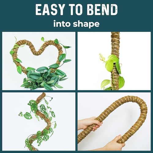 2pcs 42'' Real Forest Moss Pole Monstera Plant Support -Moisture Retaining